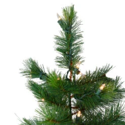 6.5' Pre-Lit Slim Royal Alpine Artificial Christmas Tree - Clear Lights 11 6.5' Pre-Lit Slim Royal Alpine Artificial Christmas Tree - Clear Lights -Optimal Christmas Shop northlight v27368 2 16468.1667570035