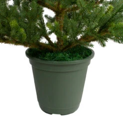 6' Noble Pine Slim Artificial Christmas Tree In Terracotta Pot - Unlit 11 6' Noble Pine Slim Artificial Christmas Tree In Terracotta Pot - Unlit -Optimal Christmas Shop northlight v27377 3 73387.1680014813