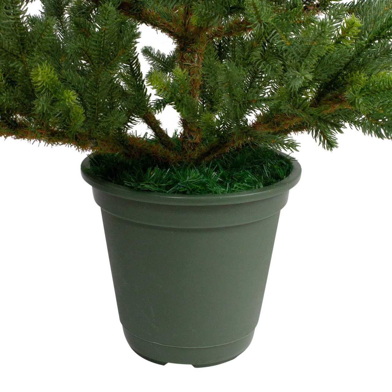 6' Noble Pine Slim Artificial Christmas Tree In Terracotta Pot - Unlit 7 6' Noble Pine Slim Artificial Christmas Tree In Terracotta Pot - Unlit - Image 5