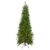 7.5' Pre-Lit Pencil Canadian Pine Artificial Christmas Tree - Clear Lights 2 7.5' Pre-Lit Pencil Canadian Pine Artificial Christmas Tree - Clear Lights -Optimal Christmas Shop northlight v27380 83915.1667488273