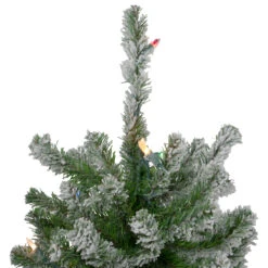 Set Of 3 Pre-Lit Slim Flocked Alpine Artificial Christmas Trees 6' - Multicolor Lights 13 Set Of 3 Pre-Lit Slim Flocked Alpine Artificial Christmas Trees 6' - Multicolor Lights -Optimal Christmas Shop northlight v27442 3updated 24409.1667572688