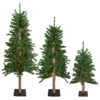 Set Of 3 Pre-Lit Slim Alpine Artificial Christmas Trees 5' - Multicolor Lights 1 Set Of 3 Pre-Lit Slim Alpine Artificial Christmas Trees 5' - Multicolor Lights -Optimal Christmas Shop northlight v27451 updart 28973.1667578066
