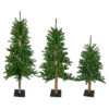 Set Of 3 Alpine Artificial Christmas Trees 4', 5' And 6' - Unlit -Optimal Christmas Shop northlight v27452 updarte 50559.1667533899