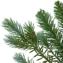 9' X 14" Blue Spruce Artificial Christmas Garland, Unlit 12 9' X 14" Blue Spruce Artificial Christmas Garland, Unlit -Optimal Christmas Shop northlight v94157 520use20for20v94158 19502.1681481524