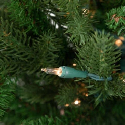 4' Pre-Lit Potted Grande SpruceArtificial Christmas Tree, Clear Lights -Optimal Christmas Shop northlight v94168 3 48257.1681395773