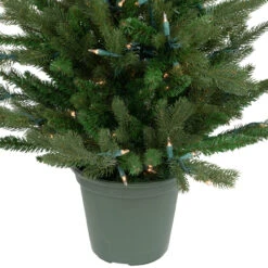 4' Pre-Lit Potted Grande SpruceArtificial Christmas Tree, Clear Lights -Optimal Christmas Shop northlight v94168 6 80392.1681395774