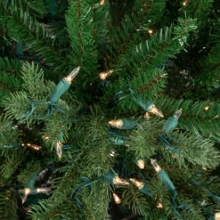 6' Pre-Lit Grande Spruce Artificial Christmas Tree, Clear Lights -Optimal Christmas Shop northlight v94169 3 39624.1674058101
