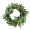 Berry, Cedar And Pine Cone Artificial Christmas Wreath - 24-Inch, Unlit -Optimal Christmas Shop northlight vm89280 28109.1667576858
