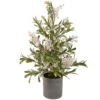 2' Potted White Berry And Frosted Pine Christmas Tree, Unlit 2 2' Potted White Berry And Frosted Pine Christmas Tree, Unlit -Optimal Christmas Shop northlight vm92773 10336.1667530257