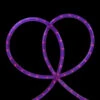 18' Pre Lit Purple Incandescent Outdoor Christmas Rope Lights 2 18' Pre Lit Purple Incandescent Outdoor Christmas Rope Lights -Optimal Christmas Shop northlight ys27514 19668.1667574534