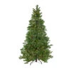 6.5' Pre-Lit Medium Pine Artificial Christmas Tree - Clear Dura-Lit Lights 1 6.5' Pre-Lit Medium Pine Artificial Christmas Tree - Clear Dura-Lit Lights -Optimal Christmas Shop northlight yt6524 gr 61418.1667578497