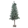 4' Lightly Flocked And Glittered Woodland Alpine Artificial Christmas Tree - Unlit 1 4' Lightly Flocked And Glittered Woodland Alpine Artificial Christmas Tree - Unlit -Optimal Christmas Shop northlight yt8448 fk 71113.1677045446