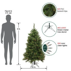 5' Pre-Lit Green Medium Canyon Pine Artificial Christmas Tree, Clear Lights 13 5' Pre-Lit Green Medium Canyon Pine Artificial Christmas Tree, Clear Lights -Optimal Christmas Shop northlight ytc509 gr 4 72723.1667264737