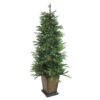 6' Pre-Lit Potted Oregon Noble Fir Slim Artificial Christmas Tree - Clear LED Lights 2 6' Pre-Lit Potted Oregon Noble Fir Slim Artificial Christmas Tree - Clear LED Lights -Optimal Christmas Shop northlight ytp006 gr 1 47054.1667657598