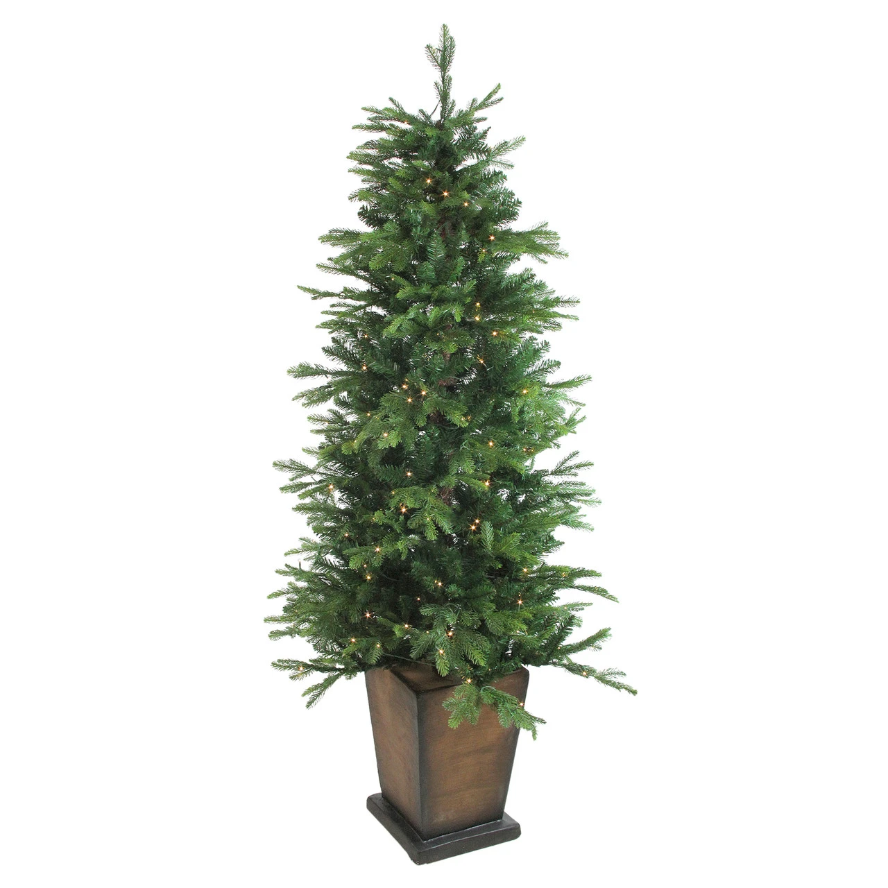 6' Pre-Lit Potted Oregon Noble Fir Slim Artificial Christmas Tree - Warm White LED Lights 4 6' Pre-Lit Potted Oregon Noble Fir Slim Artificial Christmas Tree - Warm White LED Lights - Image 2