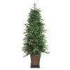 6' Pre-Lit Potted Oregon Noble Fir Slim Artificial Christmas Tree - Warm White LED Lights 1 6' Pre-Lit Potted Oregon Noble Fir Slim Artificial Christmas Tree - Warm White LED Lights -Optimal Christmas Shop northlight ytp006 gr 02618.1667519986