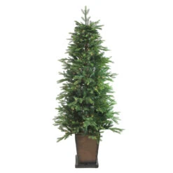 6' Pre-Lit Potted Oregon Noble Fir Slim Artificial Christmas Tree - Warm White LED Lights