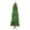 7.5' Pre-Lit Stillwater Spruce Pencil Artificial Christmas Tree - Clear Lights 1 7.5' Pre-Lit Stillwater Spruce Pencil Artificial Christmas Tree - Clear Lights -Optimal Christmas Shop northlight z016025 fixed 45964.1667536699