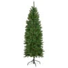 6.5' Pre-Lit White River Fir Pencil Artificial Christmas Tree, Clear Lights -Optimal Christmas Shop northlight z16022 1updated 83871.1667578385