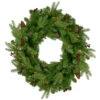 Pre-Lit Mixed Winter Berry Pine Artificial Christmas Wreath - 24-Inch, Clear Lights -Optimal Christmas Shop northlight z27678 52926.1667581933