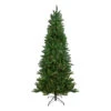 7' Pre-Lit Altoona Pine Slim Artificial Christmas Tree - Clear Lights -Optimal Christmas Shop northlight z28593 22636.1667535346
