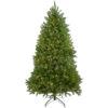 7.5' Pre-Lit Green Medium Northern Pine Artificial Christmas Tree - Warm Clear LED Lights 2 7.5' Pre-Lit Green Medium Northern Pine Artificial Christmas Tree - Warm Clear LED Lights -Optimal Christmas Shop northlight z35727 1 updated 76725.1667536520