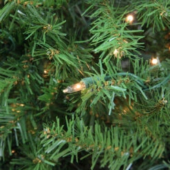 12' Pre-Lit Northern Pine Full Artificial Christmas Tree, Clear Lights 7 12' Pre-Lit Northern Pine Full Artificial Christmas Tree, Clear Lights -Optimal Christmas Shop northlight z35727 5 updated 20484.1667663136
