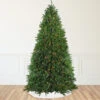 12' Pre-Lit Rockwood Pine Artificial Christmas Tree, Multi LED Lights -Optimal Christmas Shop northlight z84462 66530.1667535771