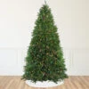 12' Pre-Lit Full Northern Pine Artificial Christmas Tree - Multi-Color Lights 1 12' Pre-Lit Full Northern Pine Artificial Christmas Tree - Multi-Color Lights -Optimal Christmas Shop northlight z84462 86630.1667533617