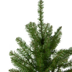 4' Northern Pine Medium Artificial Christmas Tree, Unlit 8 4' Northern Pine Medium Artificial Christmas Tree, Unlit -Optimal Christmas Shop northlight z84469 2update 14092.1667662027