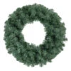 Colorado Blue Spruce Artificial Christmas Wreath, 24-Inch, Unlit -Optimal Christmas Shop northlight z94016 newest 55455.1667528423
