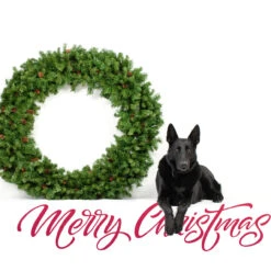 Dakota Red Pine Commercial Artificial Christmas Wreath - 5-Foot, Unlit -Optimal Christmas Shop northlight z99437 cxpic 2 63698.1677542201