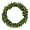 Pre-Lit Dakota Red Pine Commercial Artificial Christmas Wreath - 60-Inch, Warm White LED Lights -Optimal Christmas Shop northlight z99439 39786.1667530688