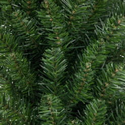 36" Buffalo Fir Rectangular Artificial Christmas Wreath - Unlit 8 36" Buffalo Fir Rectangular Artificial Christmas Wreath - Unlit -Optimal Christmas Shop northlight z99749 3 66875.1671129357