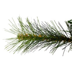 Canyon Pine Mixed Artificial Christmas Wreath, 36-Inch, Unlit -Optimal Christmas Shop northlightgb ywc724 gr 2 03867.1683644381