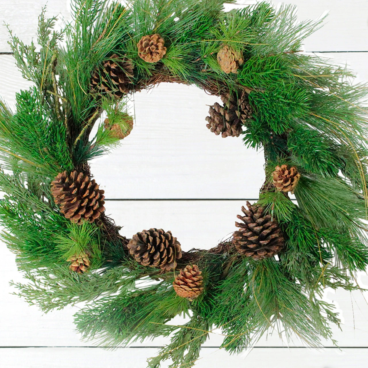 Pine Cones And Needles Artificial Christmas Wreath - 24-Inch, Unlit 4 Pine Cones And Needles Artificial Christmas Wreath - 24-Inch, Unlit - Image 2