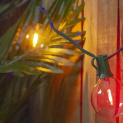 10ct Multi Color LED G50 Globe Patio Lights, 10ft Green Wire 7 10ct Multi Color LED G50 Globe Patio Lights, 10ft Green Wire -Optimal Christmas Shop northlightys90314 57507.1667569992