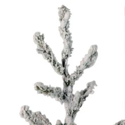 36" Green Flocked Alpine Coral Artificial Christmas Tree - Unlit -Optimal Christmas Shop ntjswsuf9pxfubgot15xxmmdpq9qyway 06009.1667597345
