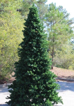 26’ Pre-Lit Giant Olympia Pine CommercialArtificial Tower Christmas Tree - Warm White LED Lights -Optimal Christmas Shop olympiaframetree3 10717.1680153258