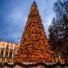 26’ Pre-Lit Giant Olympia Pine CommercialArtificial Tower Christmas Tree - Warm White LED Lights -Optimal Christmas Shop olympiaframetree 94792.1680153258