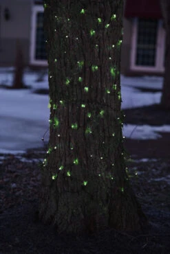 2' X 8' Green Mini Net Style Tree Trunk Wrap Christmas Lights - Brown Wire -Optimal Christmas Shop otl6zebqvm9pyyglmvq3ngp25i2gehoc 35 2 56823.1667659139