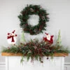 Mixed Eden Pine Artificial Christmas Wreath, 30-Inch, Unlit -Optimal Christmas Shop p1ezur6pltrqjtyg1ks8jj4rg6dkkdgp 69654.1667520680