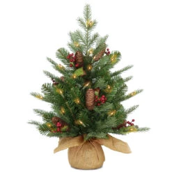 2' Pre-lit Potted Nordic Spruce Artificial Christmas Tree – Warm White LED Lights/BO
