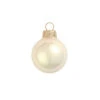 4ct Pearl Champagne Gold Glass Ball Christmas Ornaments 4.75" (120mm) -Optimal Christmas Shop pqpxlffw27so6naps2nnxdsk72kvjcc4 20348.1667684588