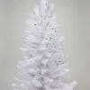 4' Pre Lit White Iridescent Pine Artificial Christmas Tree - Green Lights 1 4' Pre Lit White Iridescent Pine Artificial Christmas Tree - Green Lights -Optimal Christmas Shop r02asbjy5ntadkzccwtiobe2nt9urgez 94632.1667662016