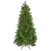 7.5' Pre-Lit Rosemary Emerald Angel Pine Artificial Christmas Tree - Warm White LED Lights 1 7.5' Pre-Lit Rosemary Emerald Angel Pine Artificial Christmas Tree - Warm White LED Lights -Optimal Christmas Shop rosemary emerald 08854.1667530602