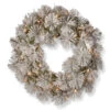 24” Pre-Lit Snowy Bristle Pine Wreath With Battery Operated Warm White LED Lights