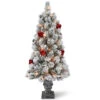 4’ Pre-Lit Snowy Bristle Pine Entrance Tree With Clear Lights In Silver Pot 2 4’ Pre-Lit Snowy Bristle Pine Entrance Tree With Clear Lights In Silver Pot -Optimal Christmas Shop snp7 308 40 54043.1667488127