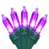 100-Count Purple LED Mini Christmas Lights, 33ft Green Wire -Optimal Christmas Shop uenxzoidifuewkqbsib3v1ulu6lnqcw7 13319.1667489939