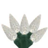 35 White LED C6 Mini Christmas Lights - 16.7 Ft Green Wire -Optimal Christmas Shop uq2zcvjqvuwg73nrmevhxctynnwmfoat 88630.1667586203